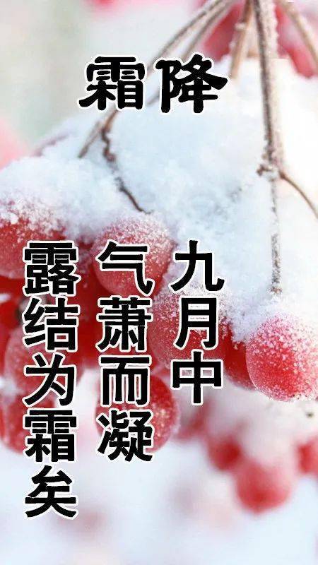 最新霜降问候祝福图片,2021霜降祝福语大全!