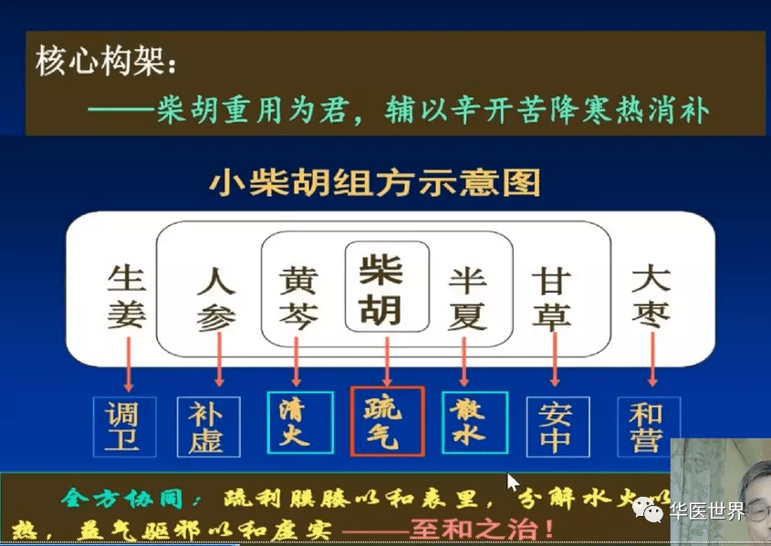 伤寒名医刘英锋教授小柴胡汤一方统百方以气调枢以和治乱