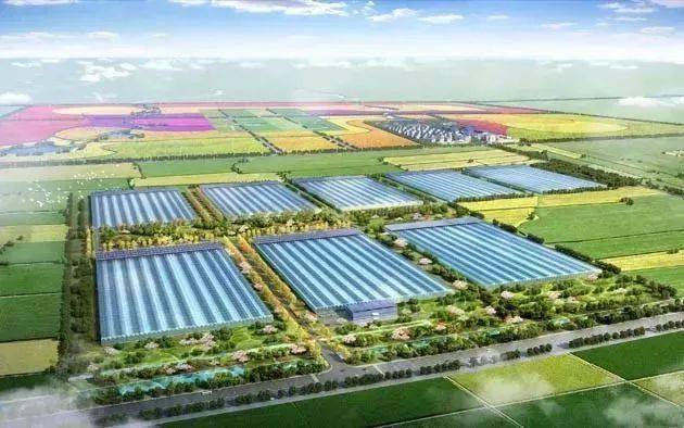 发达国家现代农业产业园发展经验对中国的借鉴