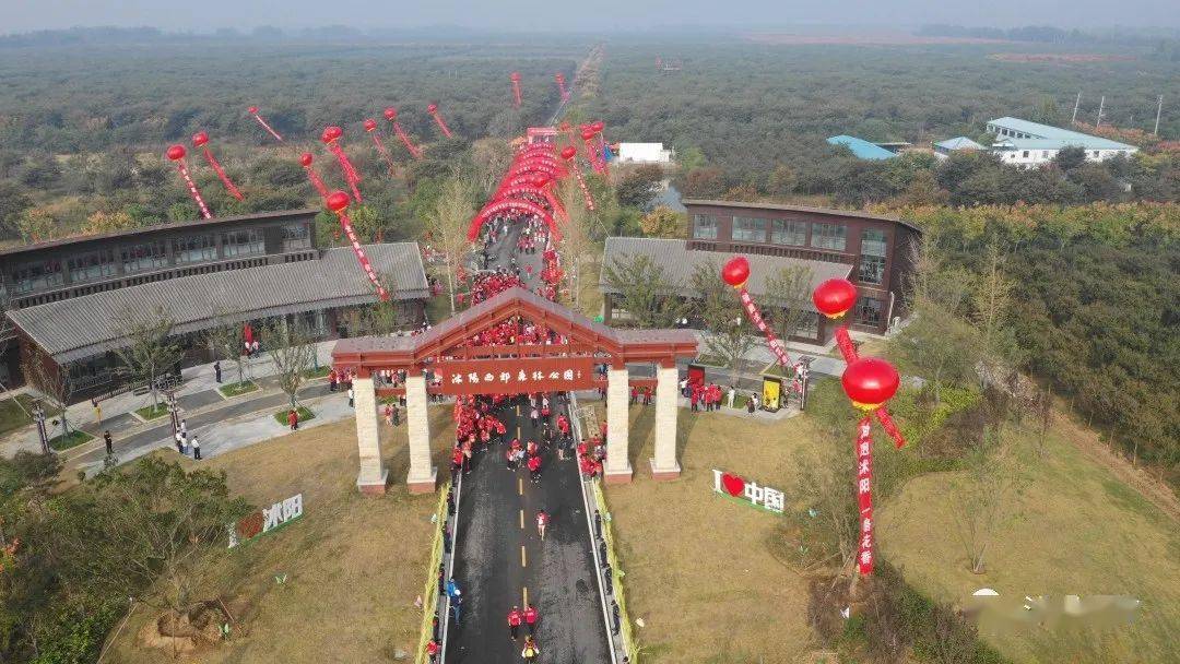 畅游花乡 沭阳这些花海,太美了!_耿圩