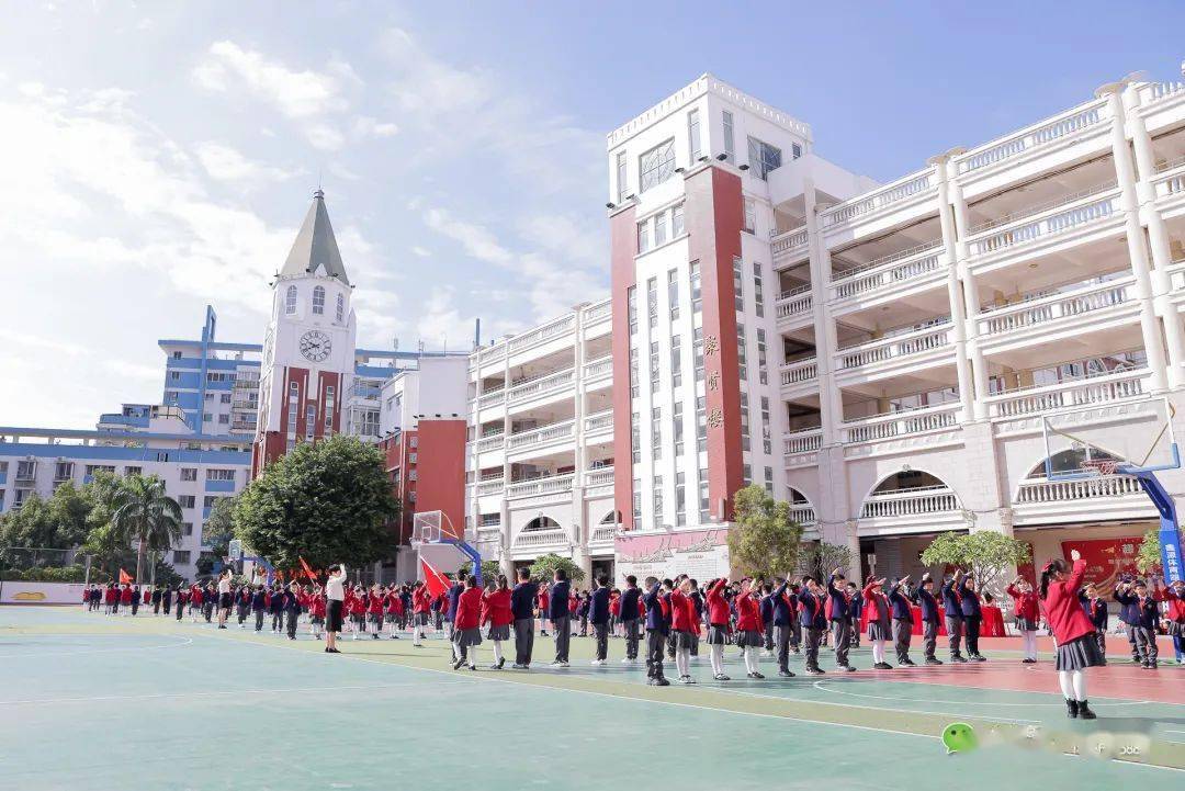 红领巾心向党争做新时代好队员晋江市实验小学少先队中队活动仪式规范