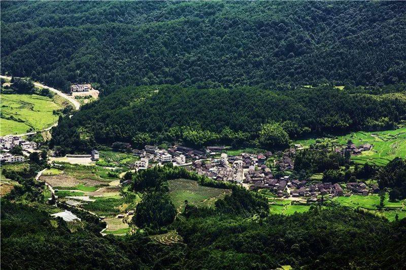 城厢镇地处武平城郊,紧靠梁野山国家级自然保护区(4a级景区,境内以云