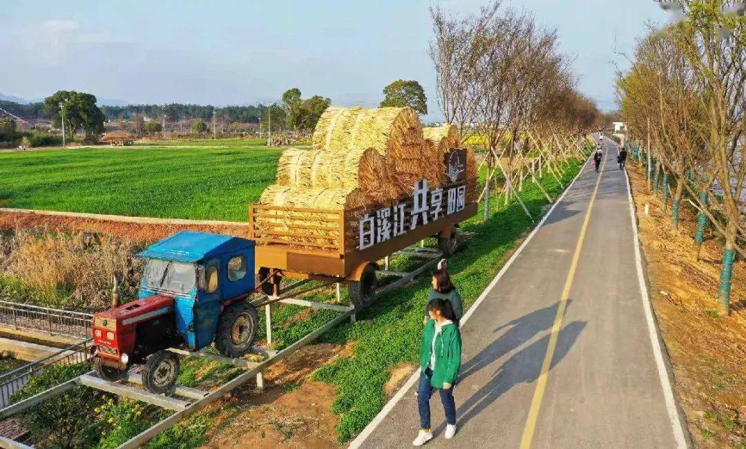 寀卢村共享田园(花园村(横店镇"陌上寻影·共享田园)东阳的美丽