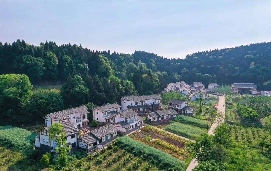 乡村治理示范村(社区(398个 简阳市平泉街道协议村 简阳市青龙镇