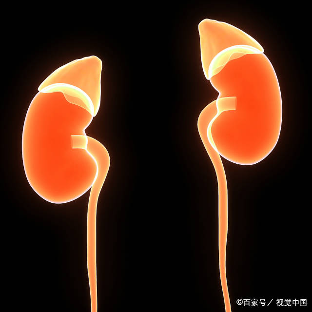 肾功能|血肌酐守住“这个值”，不会尿毒症！降肌酐有2点门道肾友要弄清
