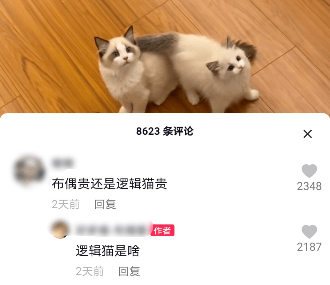 点击蓝色字: 查看什么是逻辑猫哈哈哈哈哈哈笑死,逻辑猫!