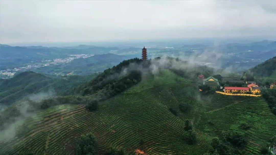 打卡·庐江 在汤池,环视俊秀群山_白马岭