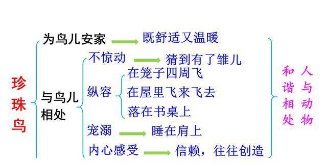 小学语文五年级上册第4课《珍珠鸟》超详细教师笔记_本课