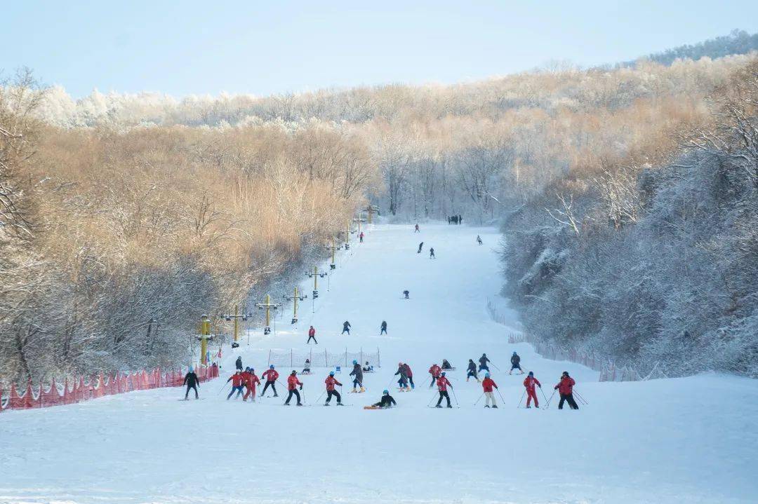 【吉林邀您滑粉雪】到底啥才是粉雪?_滑雪