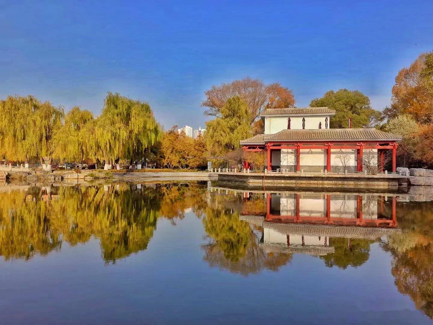 西宁人民公园,秋色美到极致,景色迷人,风景如画