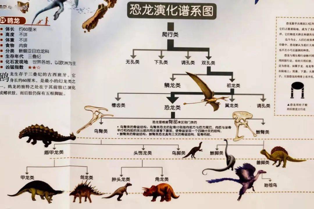 3亿年前的三叠纪,而我跑到世界简史的地图上转了一圈,突然发现,恐龙