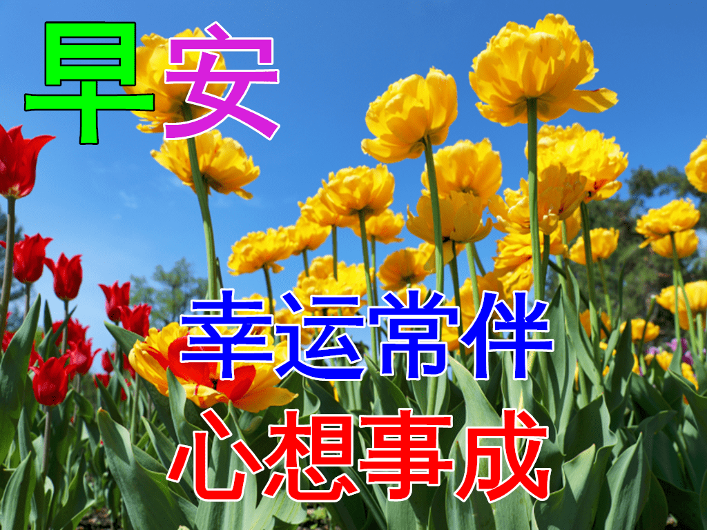 11月28日早上好图片,11月早上好图片大全 11月28日早上好动态表情图片大全,早晨好动图美图大全
