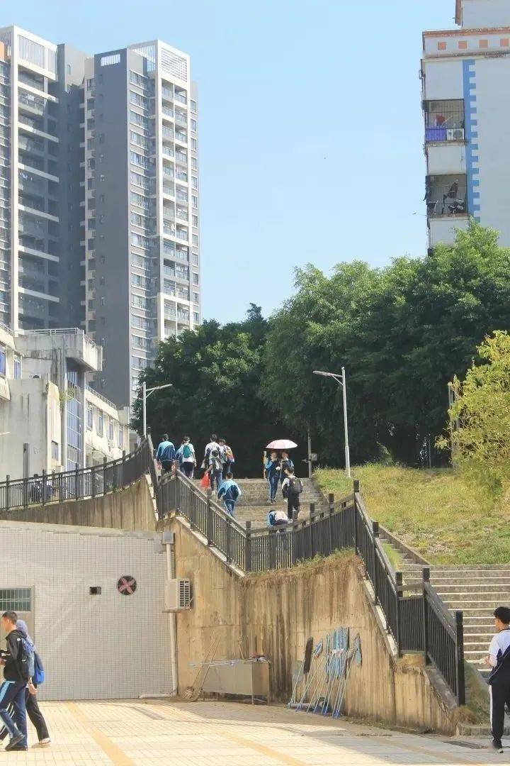 校园日常81爱上新建教学楼数学好难县中男子篮球队夺