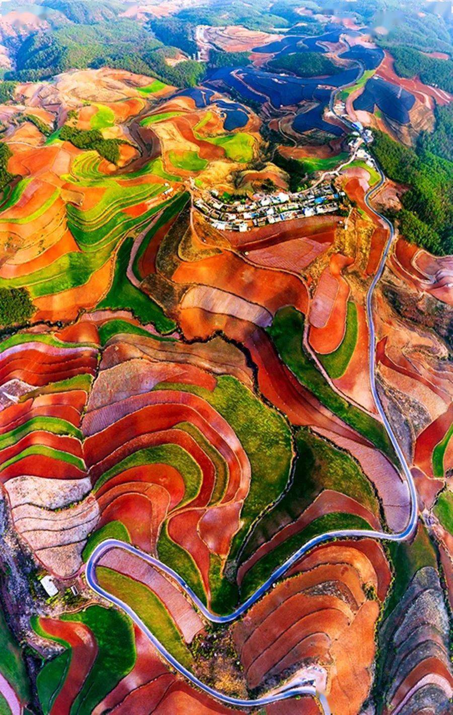 东川红土地 崔永江 摄