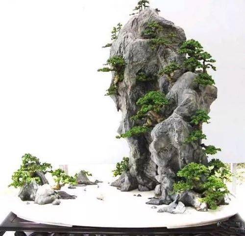 仅需执行六个步骤,轻轻松松完成山水盆景制作全过程!