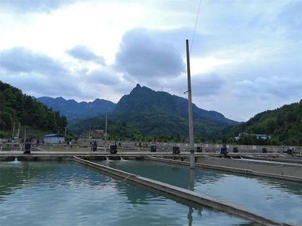 巴佑村华泽生态养鱼基地.
