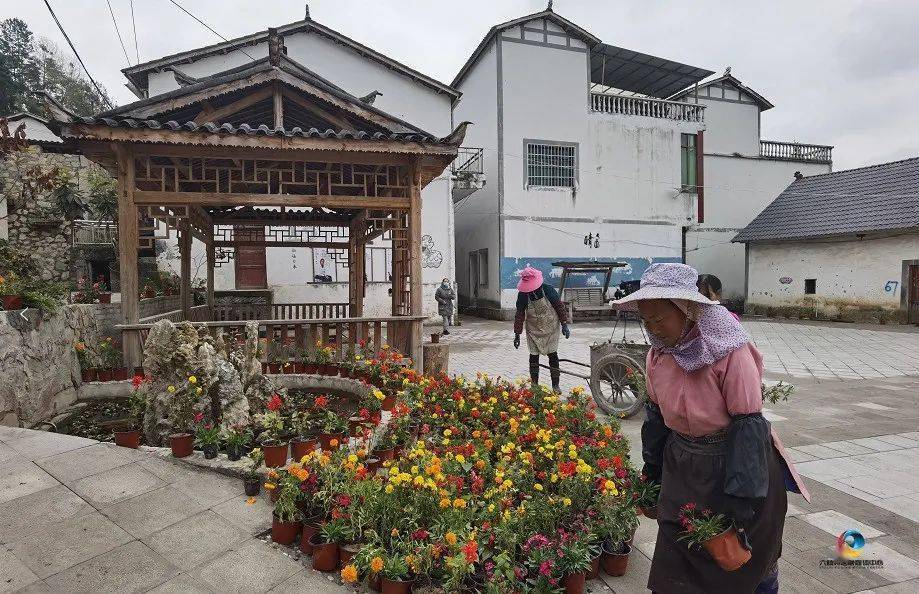 六枝郎岱镇花脚村打造诗和远方的幸福家园