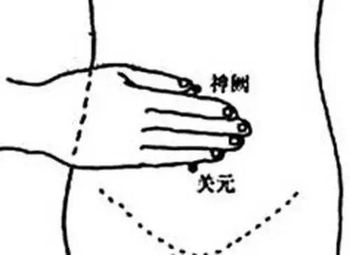 足三里穴位于小腿外侧,犊鼻下3寸,犊鼻与解溪连线上.