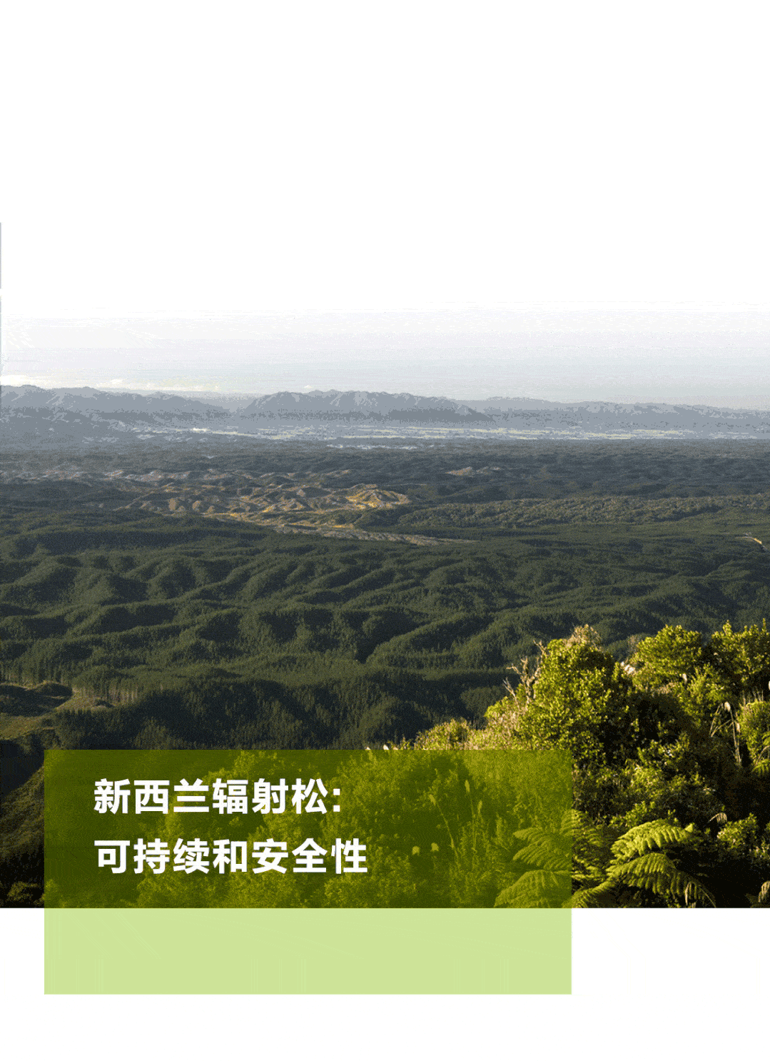 走近新西兰林业(第一集)_林业_新西兰