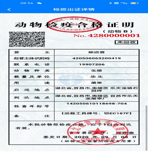 夷陵区出具的第一张无纸化动物检疫合格证明(动物b证)