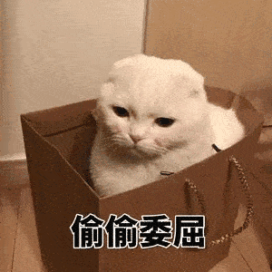 同样是过了六级,为什么别人能说一口地道流利的英语,而我一到要说英语