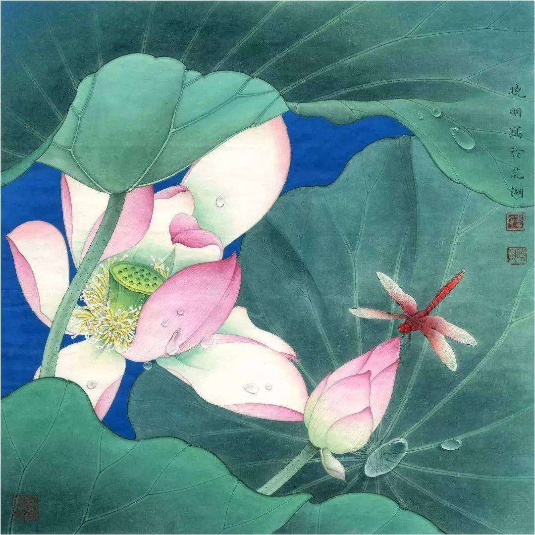 图文教程 | 工笔画荷花蜻蜓水珠的画法步骤示范