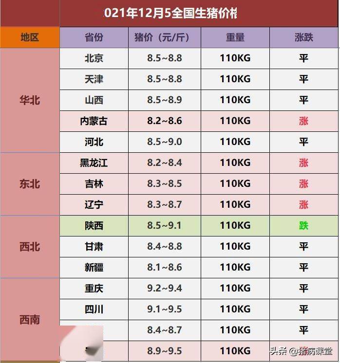 生猪价格|12月5日全国各地毛猪报价及后期走势分析_均价_仔猪_规模