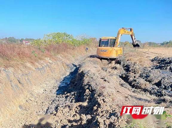 资阳区新桥河镇:高标准农田建设绘就乡村振兴新画卷