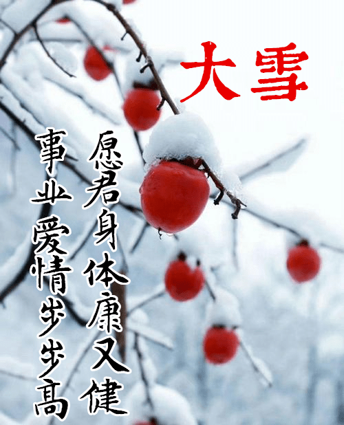 10.大雪时节来问好,朋友忙把问候捎.冬日暖阳天天照,温暖贴心小棉袄.