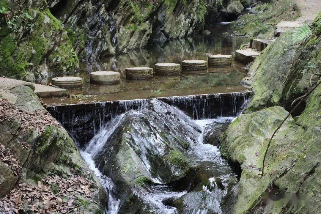 团建私享平江芦头境谷芦戎古道森林火车高空云漂