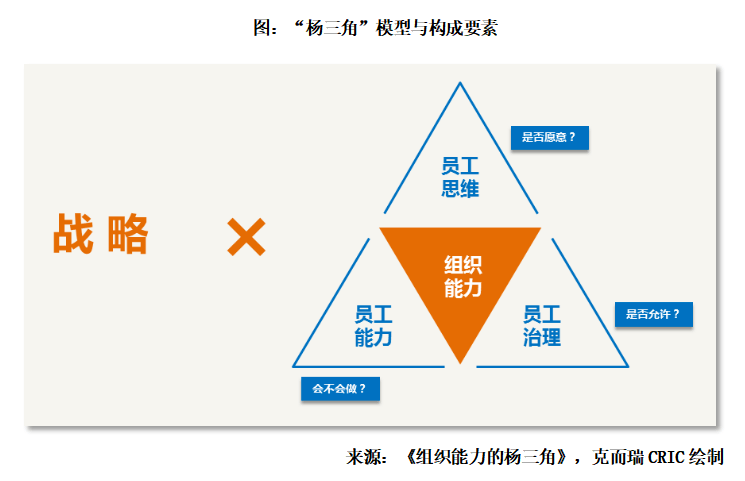 徐春洪提到了著名的人力资源模型——"杨三角模型",他将其解读为:"