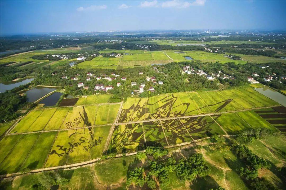 龙峰村_实景图_社区服务中心