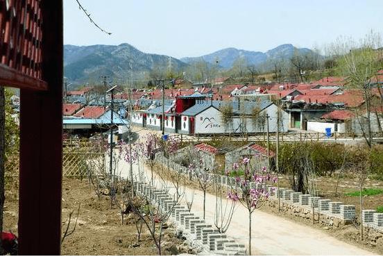 诸城市共有枳沟镇北杏村,昌城镇得利斯村,桃林镇李子园村三个村庄入选