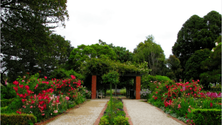 【旅游】新西兰赏薰衣草攻略_road_garden_farm