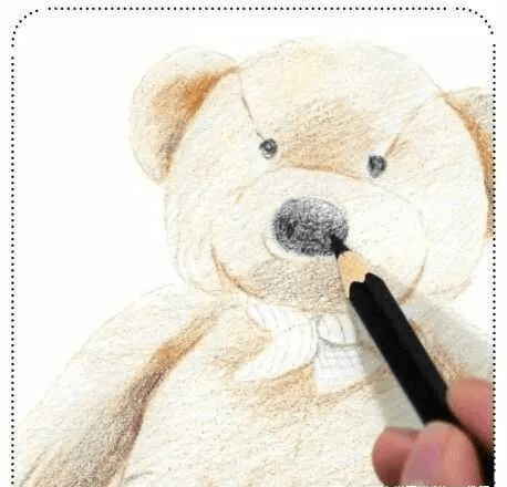 彩铅毛绒小熊绘画步骤