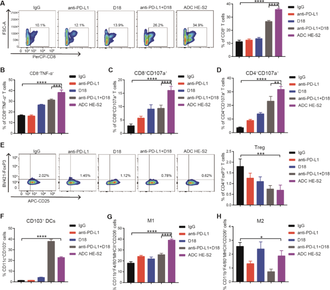 与联合治疗相比,adc he-s2显着增加了肿瘤浸润 cd8 t 细胞的数量