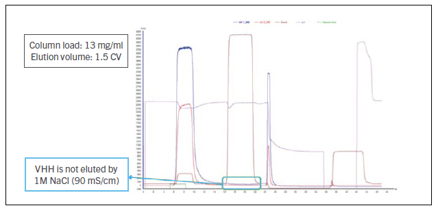 amsphere64 a3 protein a树脂:抗体片段和单域抗体纯化新选择_进行