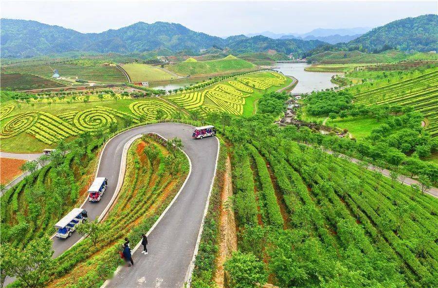 茶乡花海生态体验园 #茶香文化之旅第十八站:湖南