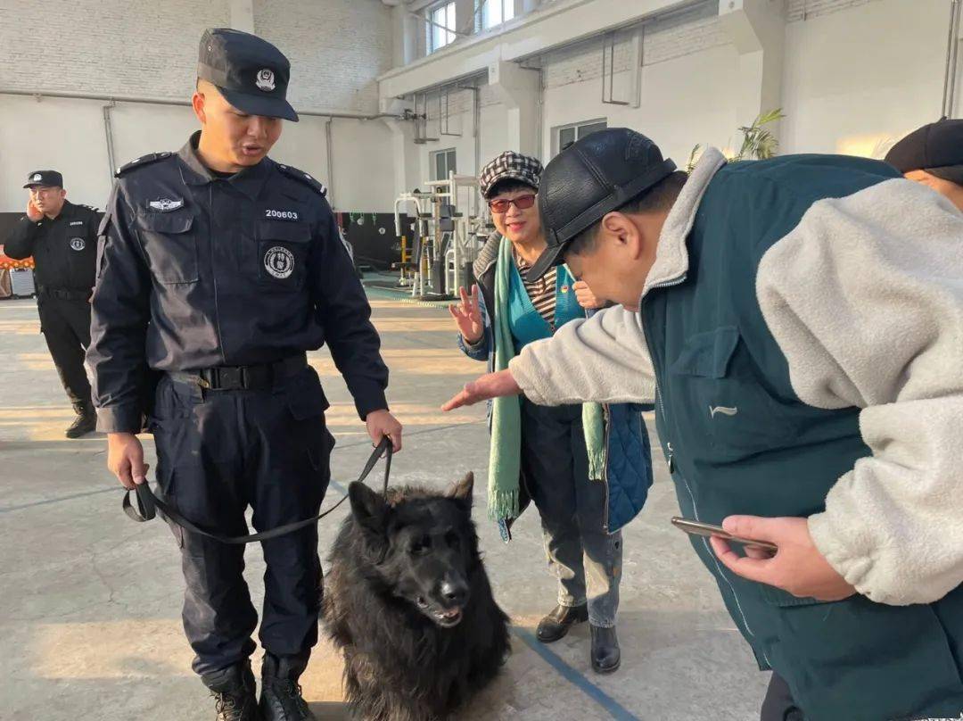 你好警察节走进警犬基地领略别样风采