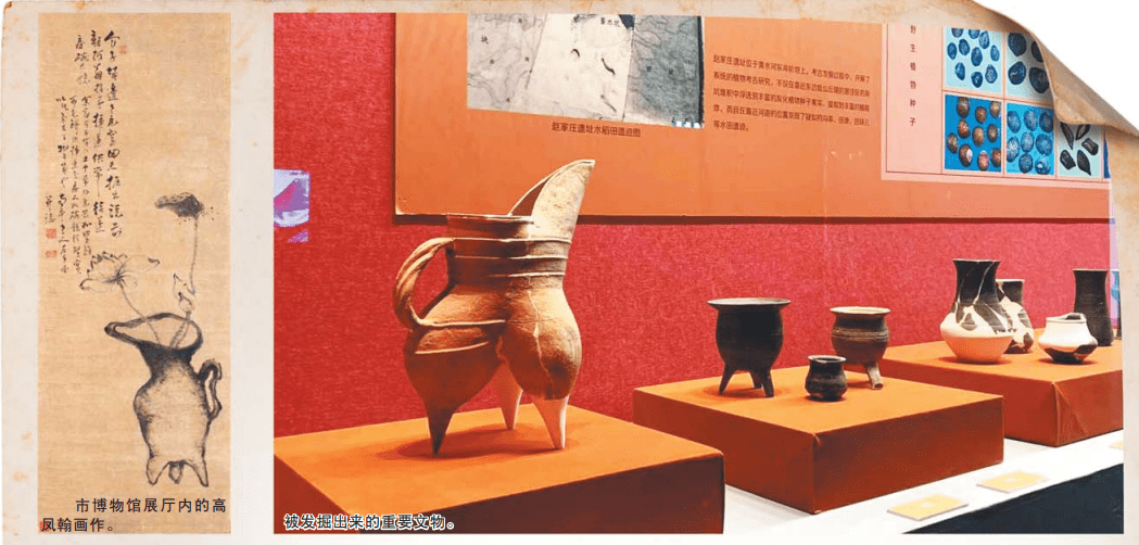 五六万年前 青岛就有人类居住！青岛地区考古成果展：160余件/套出土文物亮相