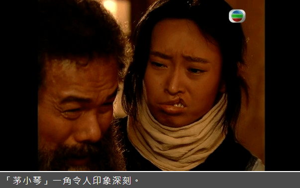 直至在2006年《火舞黄沙》演活兔唇女「茅小琴」一角而为人熟悉,及后