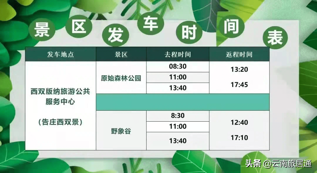 西双版纳州旅游景区直通车恢复运营啦