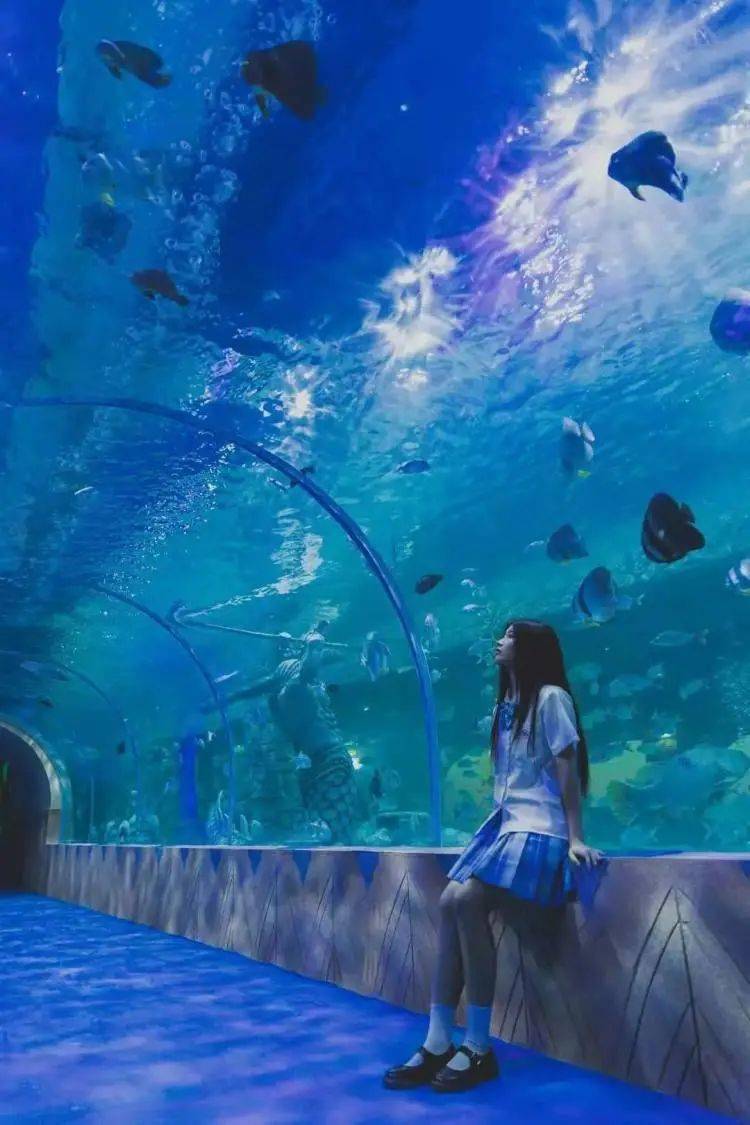 邂逅梦幻水母感受国潮魅力一同来探索内江欢乐海底世界