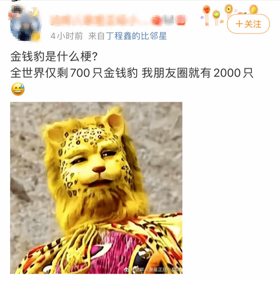 2022第一梗金钱豹富豹头像火了