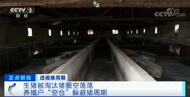 当记者来到王太峰的养猪场,发现猪圈空荡荡,看不到一头猪.