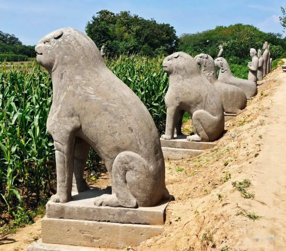 虎年赏虎第九弹石虎篇养浩气铭历史