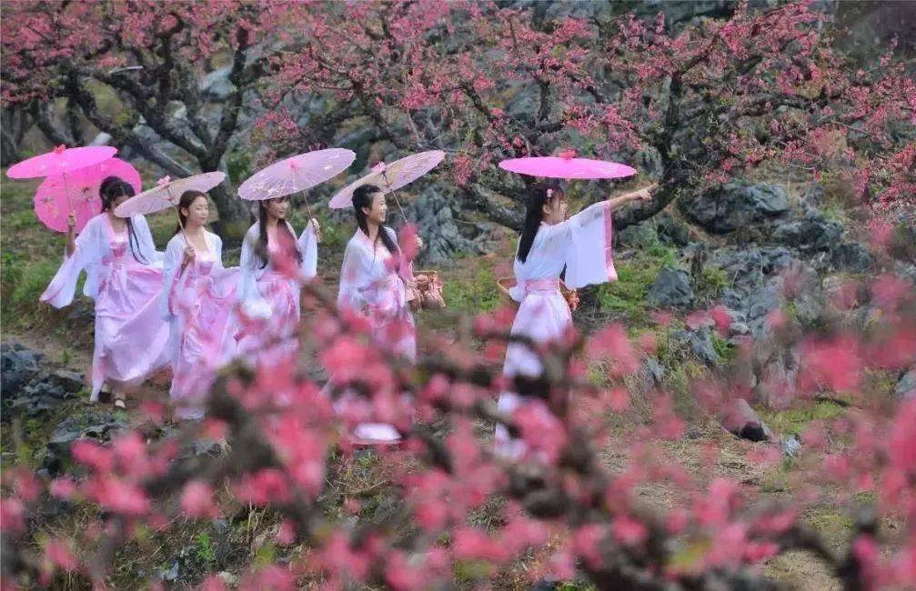 连州桃花节洞河仙境连州地下河诗画走廊湟川三峡千亩桃花园广东峡天下