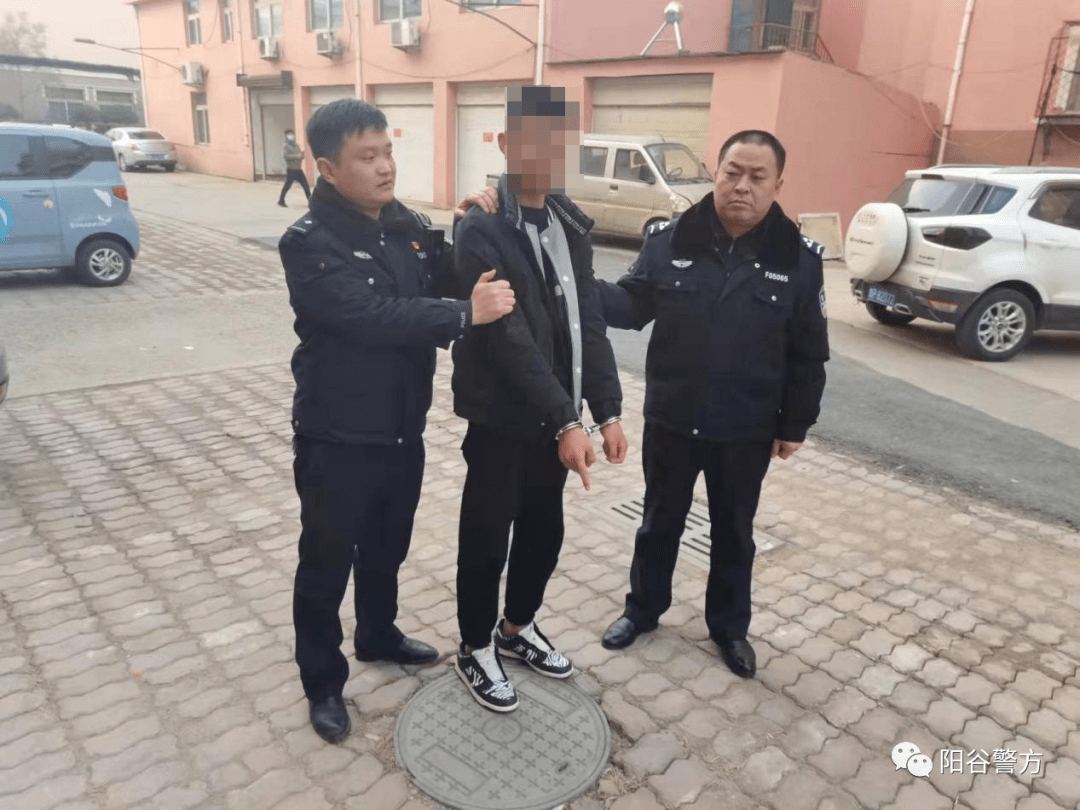 阳谷警方又抓获嫌疑人4人!_进行_刘某_工作