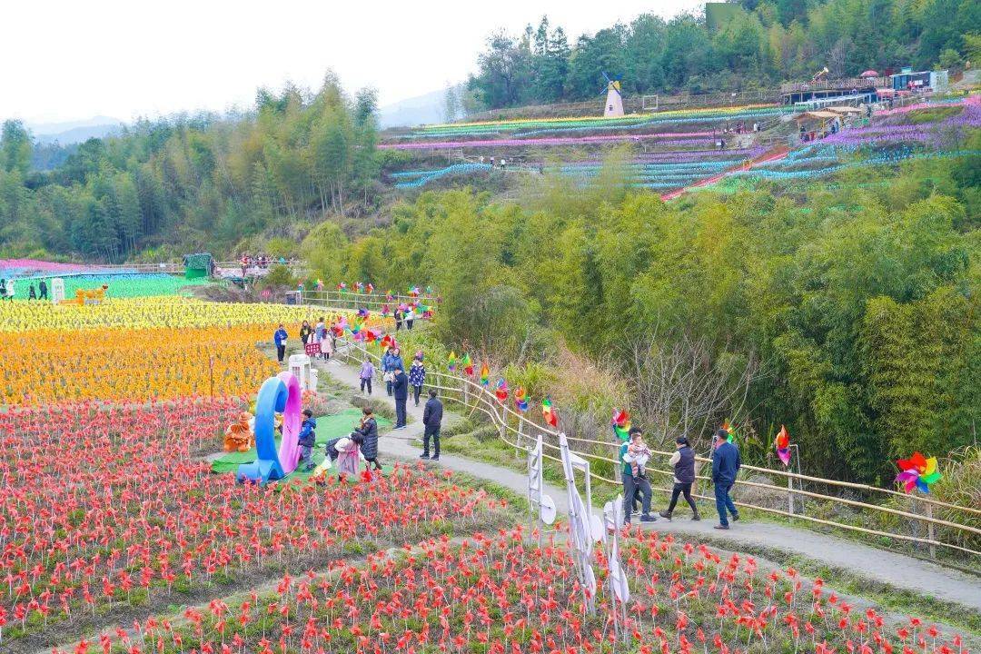 古田花海欢乐谷钜惠套票持续放送中一票玩转百万七彩风车节