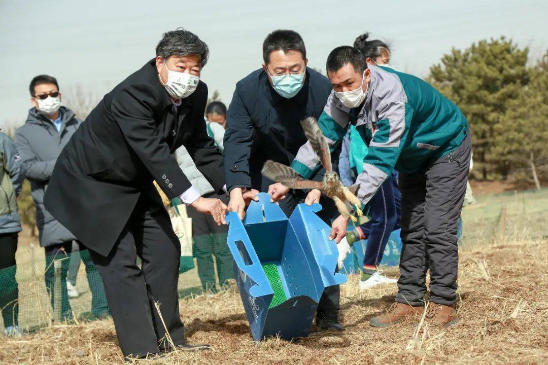 马光耀副区长放归红隼闫春丽副专员,张涛处长放归小白鹭钱能志副专员